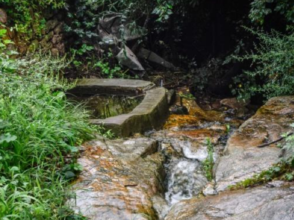雨王泉